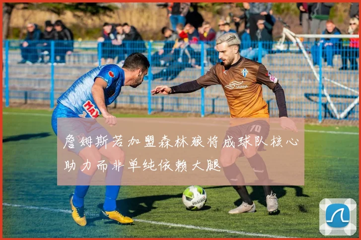詹姆斯若加盟森林狼将成球队核心助力而非单纯依赖大腿
